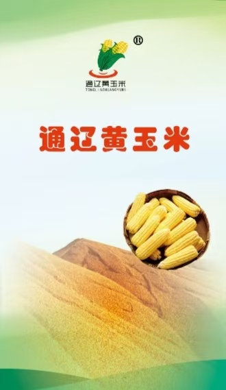 内蒙古5.png